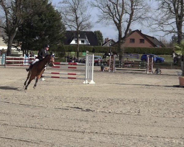 Reitturnier Handorf 2023