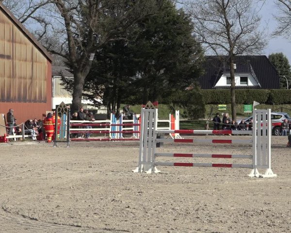 Reitturnier Handorf 2023