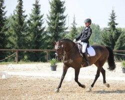 Fattrice Farina 921 (Westfale, 2003, di Florestan I)