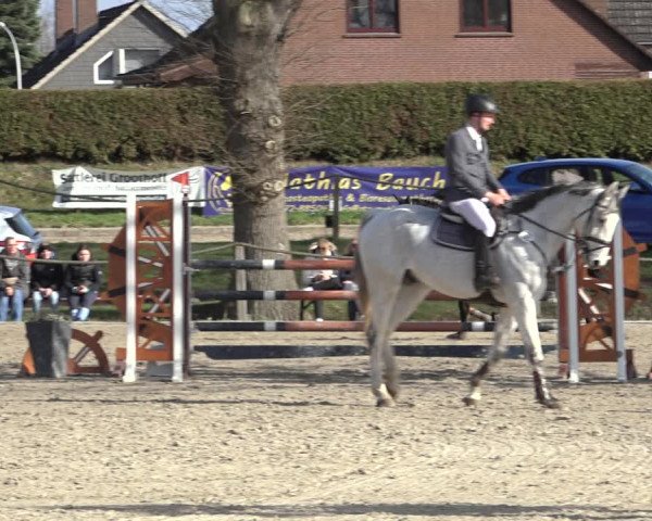 Reitturnier Handorf 2023