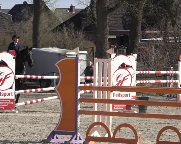 Reitturnier Handorf 2023