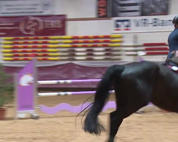 Reitturnier Eicherloh RH Laurent/Obb. 2023