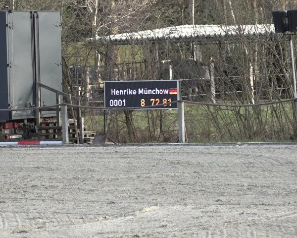 Reitturnier Handorf 2023