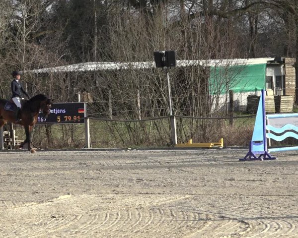 Reitturnier Handorf 2023