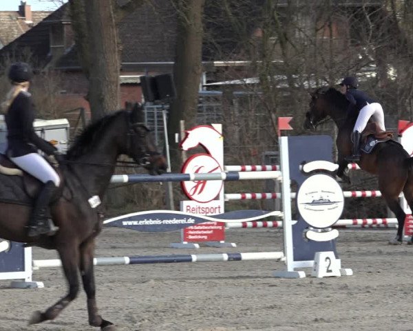 Reitturnier Handorf 2023