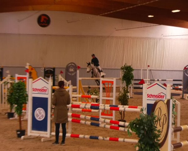 Reitturnier Lentzke 2023