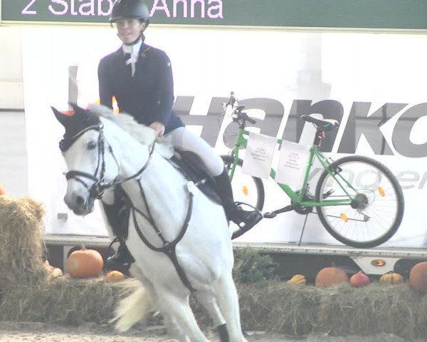 Reitturnier Karlsfeld/Obb. 2021