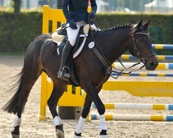Jette Bauer