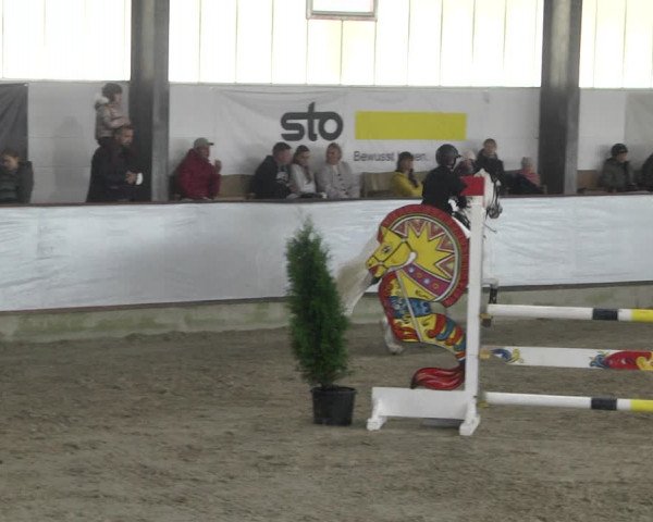 Reitturnier Karlsfeld/Obb. 2021