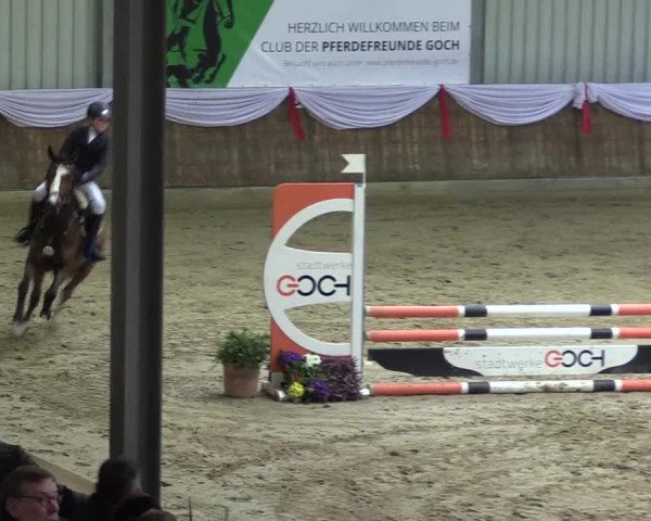 Reitturnier Goch 2023