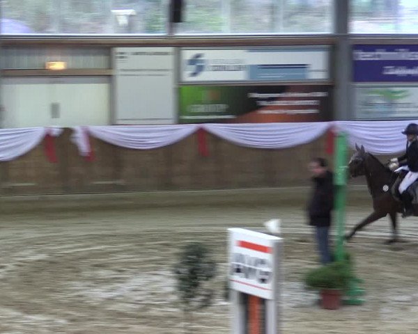 Reitturnier Goch 2023