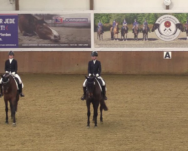 Reitturnier Bad Salzuflen 2023