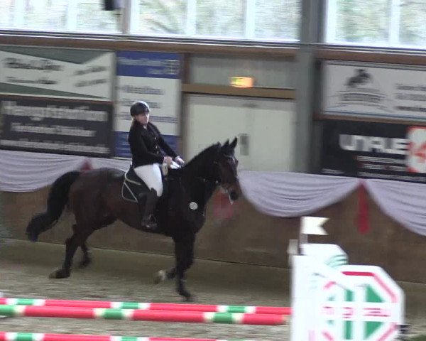 Reitturnier Goch 2023