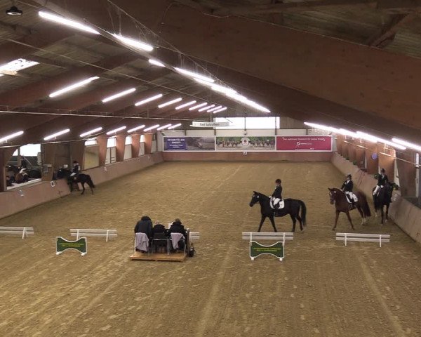 Reitturnier Bad Salzuflen 2023