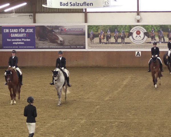 Reitturnier Bad Salzuflen 2023