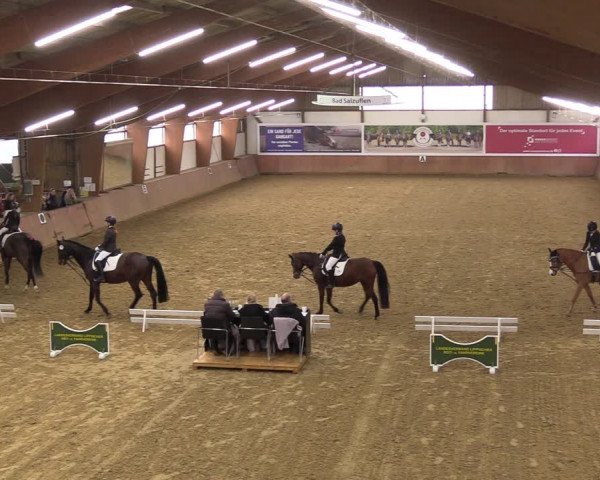 Reitturnier Bad Salzuflen 2023
