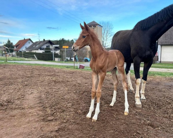 horse Great Heart RW (unknown, 2023, from Ghost of Winnetou RW)