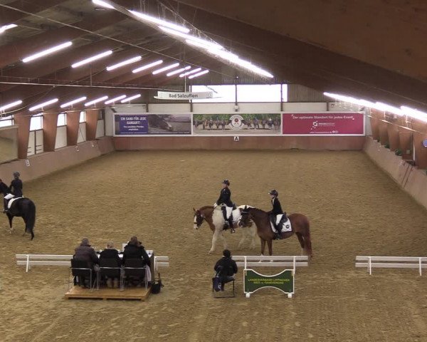 Reitturnier Bad Salzuflen 2023