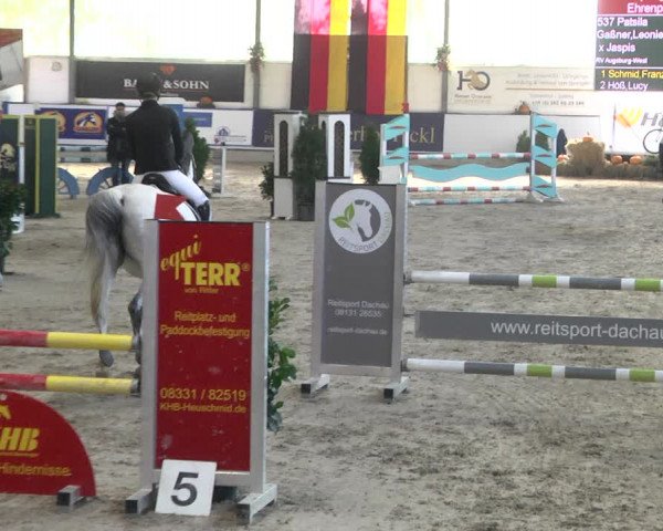 Reitturnier Karlsfeld/Obb. 2021
