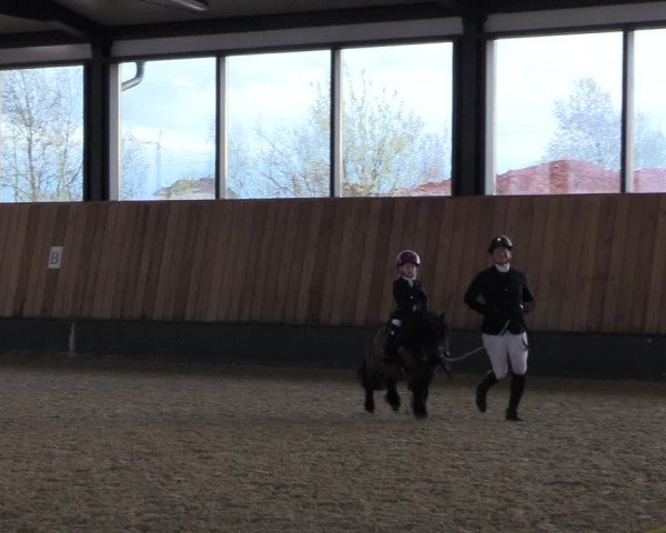Reitturnier Zwickau 2023