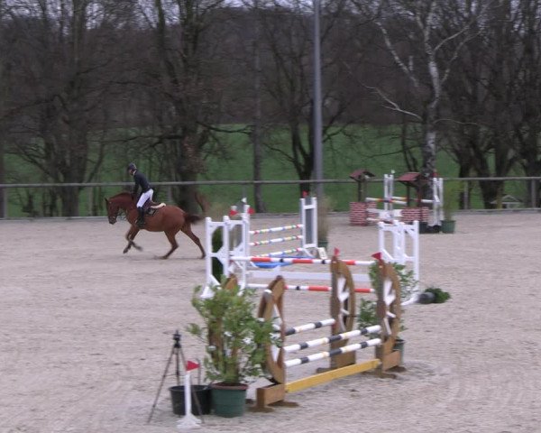 Reitturnier Erkrath 2023