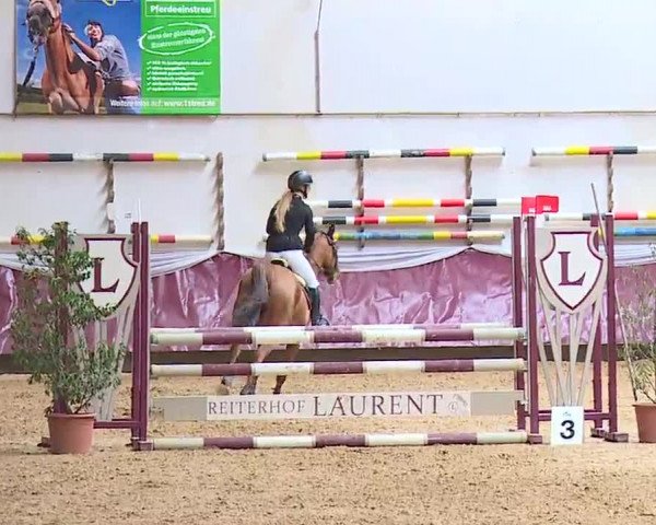Reitturnier Eicherloh RH Laurent/Obb. 2023