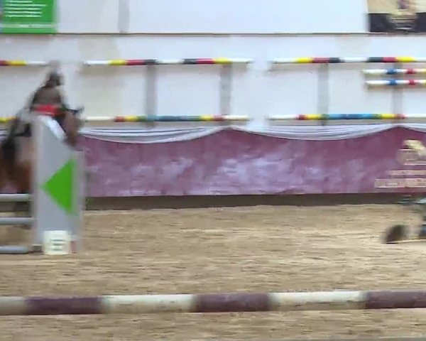 Reitturnier Eicherloh RH Laurent/Obb. 2023