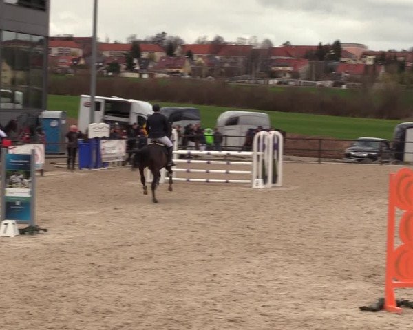 Reitturnier Zwickau 2023