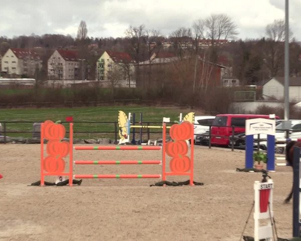 Reitturnier Zwickau 2023