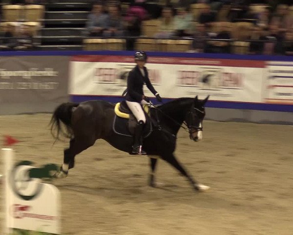 FEI Reitturnier Neumünster (GER) 2021