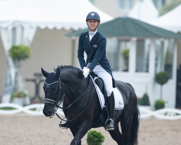 dressage horse Damons Black (Westphalian, 2010, from Damon Hill)