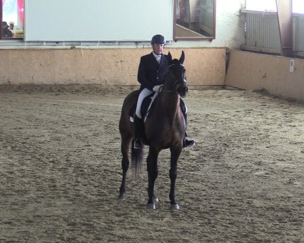 Reitturnier Kottingbrunn 2023