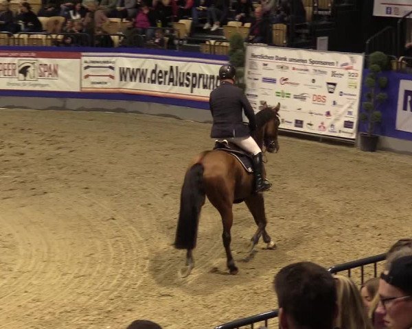 FEI Reitturnier Neumünster (GER) 2021