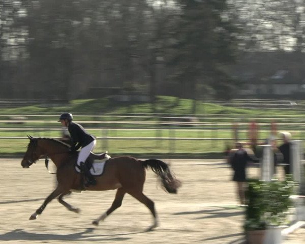 Reitturnier Langenfeld - Gut Langfort 2023