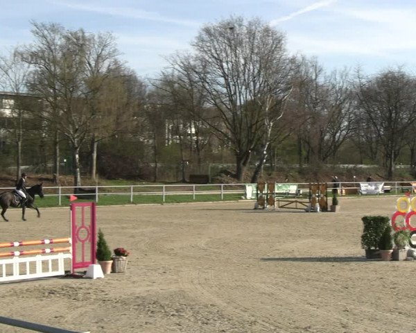 Reitturnier Langenfeld - Gut Langfort 2023
