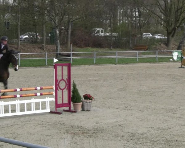 Reitturnier Langenfeld - Gut Langfort 2023