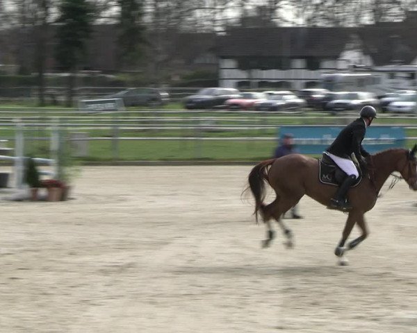 Reitturnier Langenfeld - Gut Langfort 2023