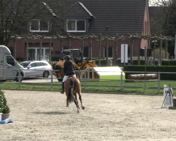 Reitturnier Langenfeld - Gut Langfort 2023