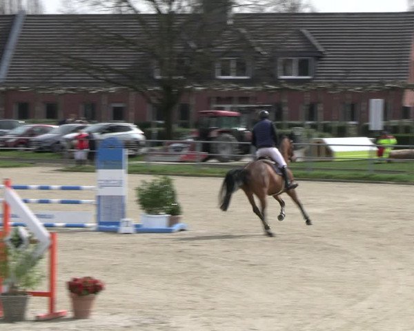 Reitturnier Langenfeld - Gut Langfort 2023