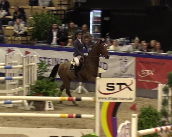 FEI Reitturnier Neumünster (GER) 2021