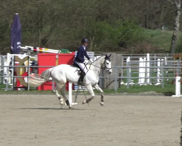 Reitturnier Langenfeld - Gut Langfort 2023