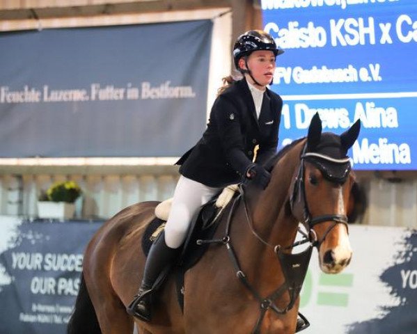 Springpferd Cordula's Girl (Westfale, 2018, von Calisto KSH)