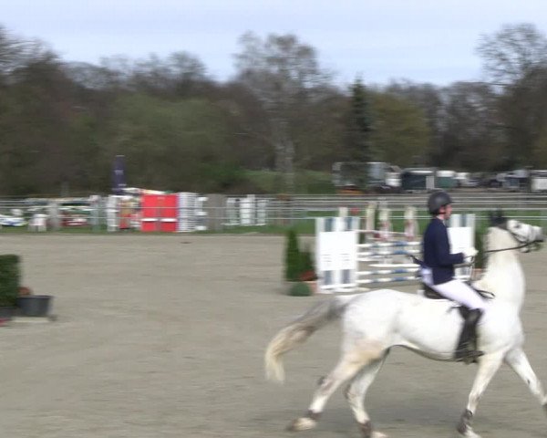 Reitturnier Langenfeld - Gut Langfort 2023