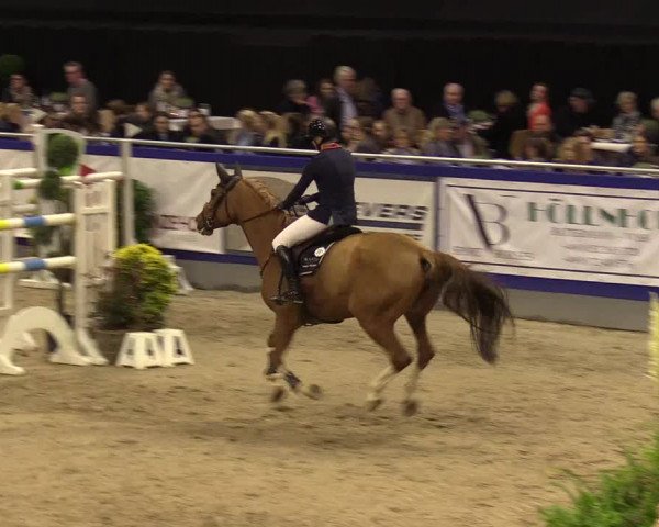 FEI Reitturnier Neumünster (GER) 2021