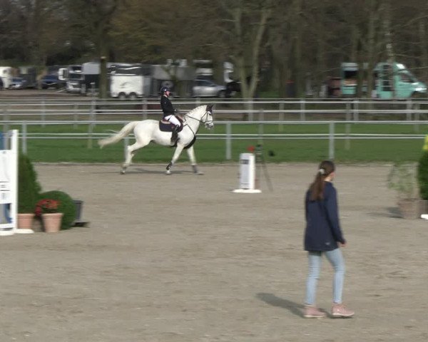 Reitturnier Langenfeld - Gut Langfort 2023