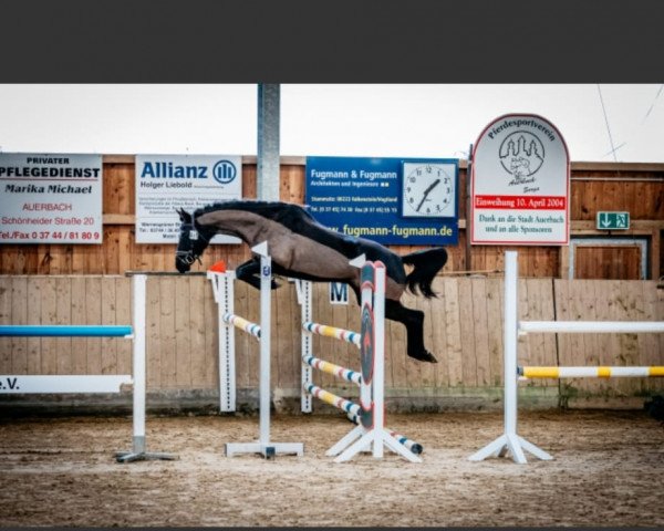 jumper Thamara (Oldenburg, 2019, from Maracana)