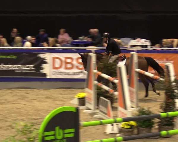FEI Reitturnier Neumünster (GER) 2021