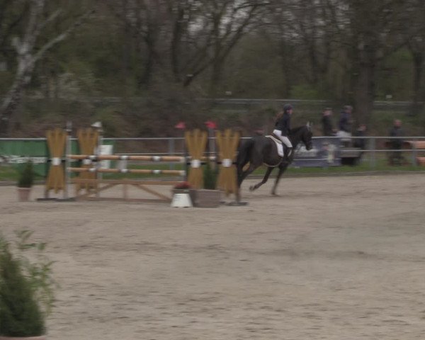 Reitturnier Langenfeld - Gut Langfort 2023