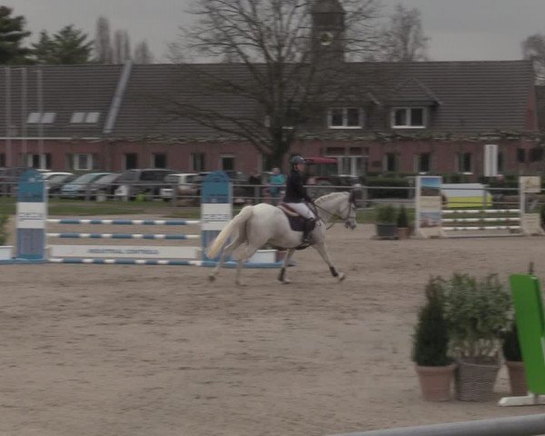 Reitturnier Langenfeld - Gut Langfort 2023