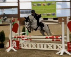 jumper Don Perignon (German Riding Pony, 2017, from Dexter Leam Pondi)